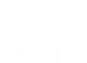 Skol Casino logo