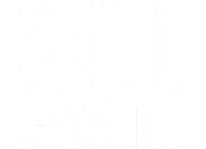 Skol Casino logo