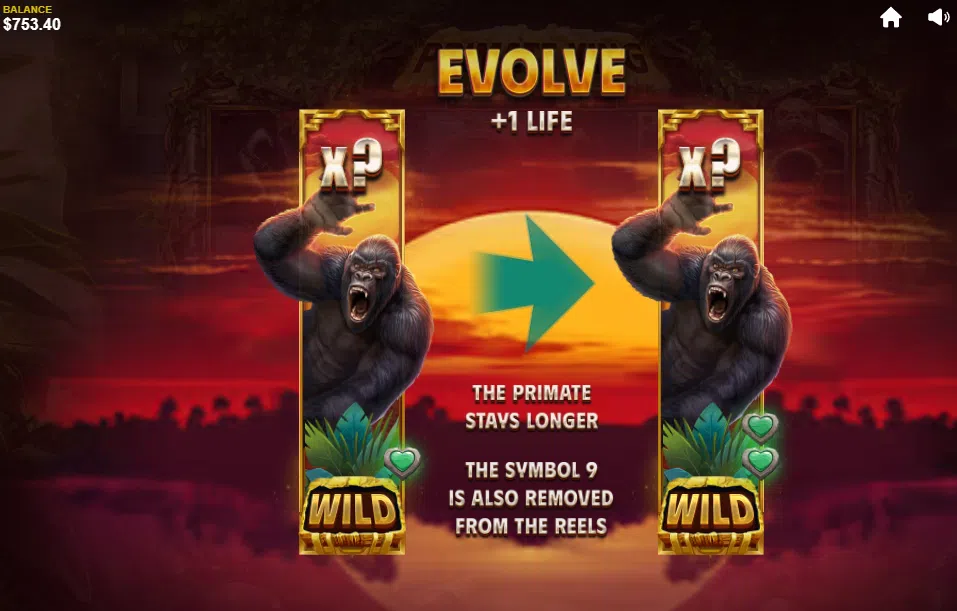 primate evolution