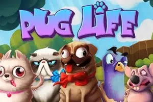 pug life gameplay