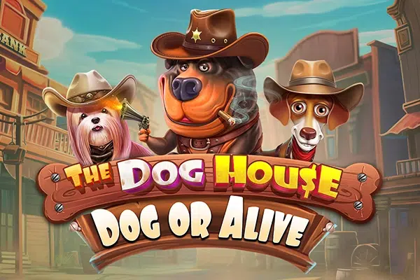 The Dog House – Dog or Alive