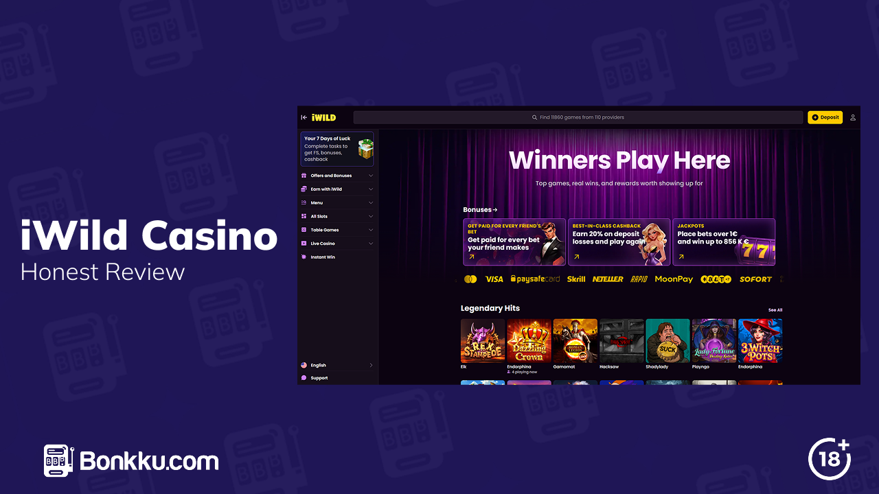 iwild casino review