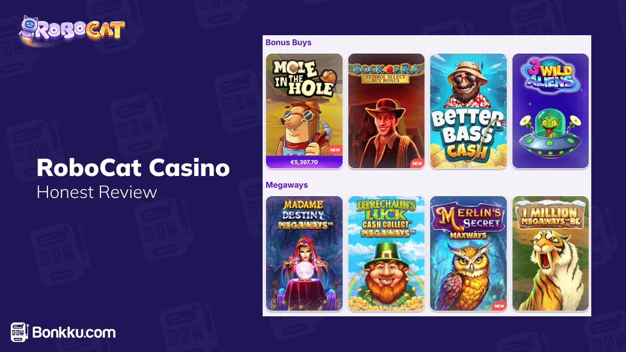 overview of robocat casino