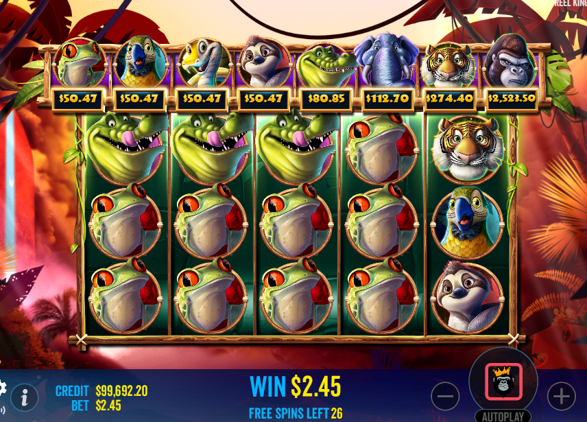 jumbo safari bonus