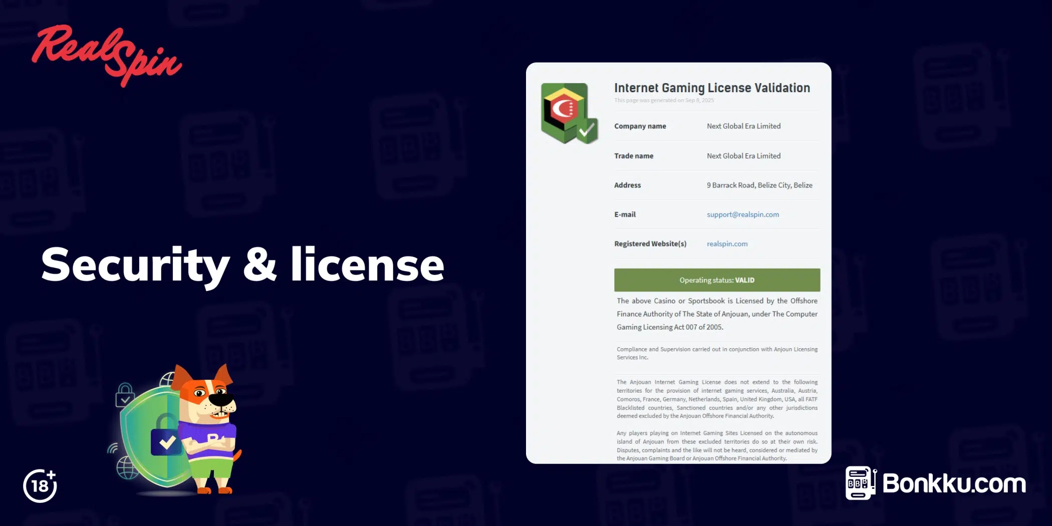 realspin security and license