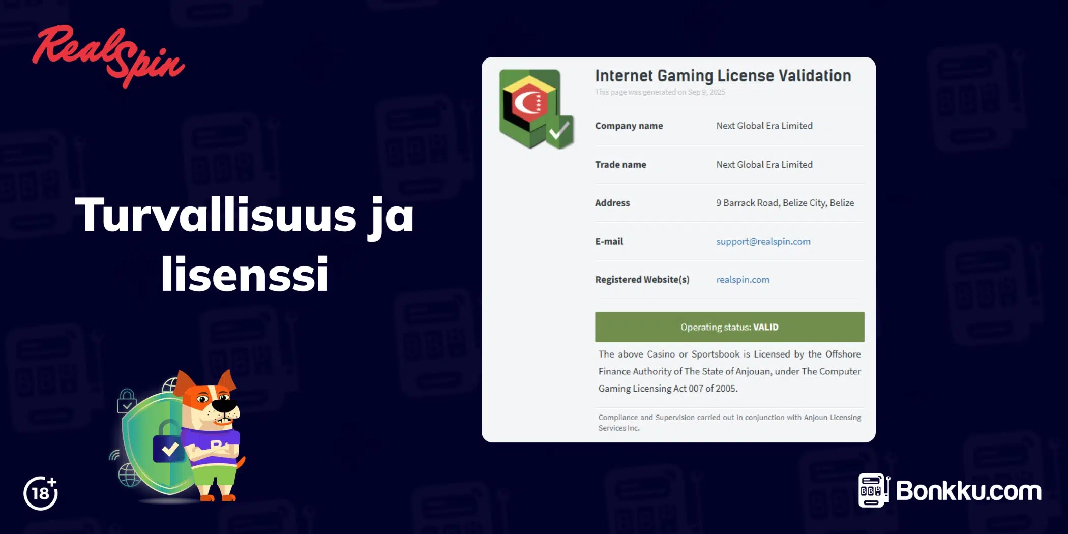 realspin turvallisuus ja lisenssi