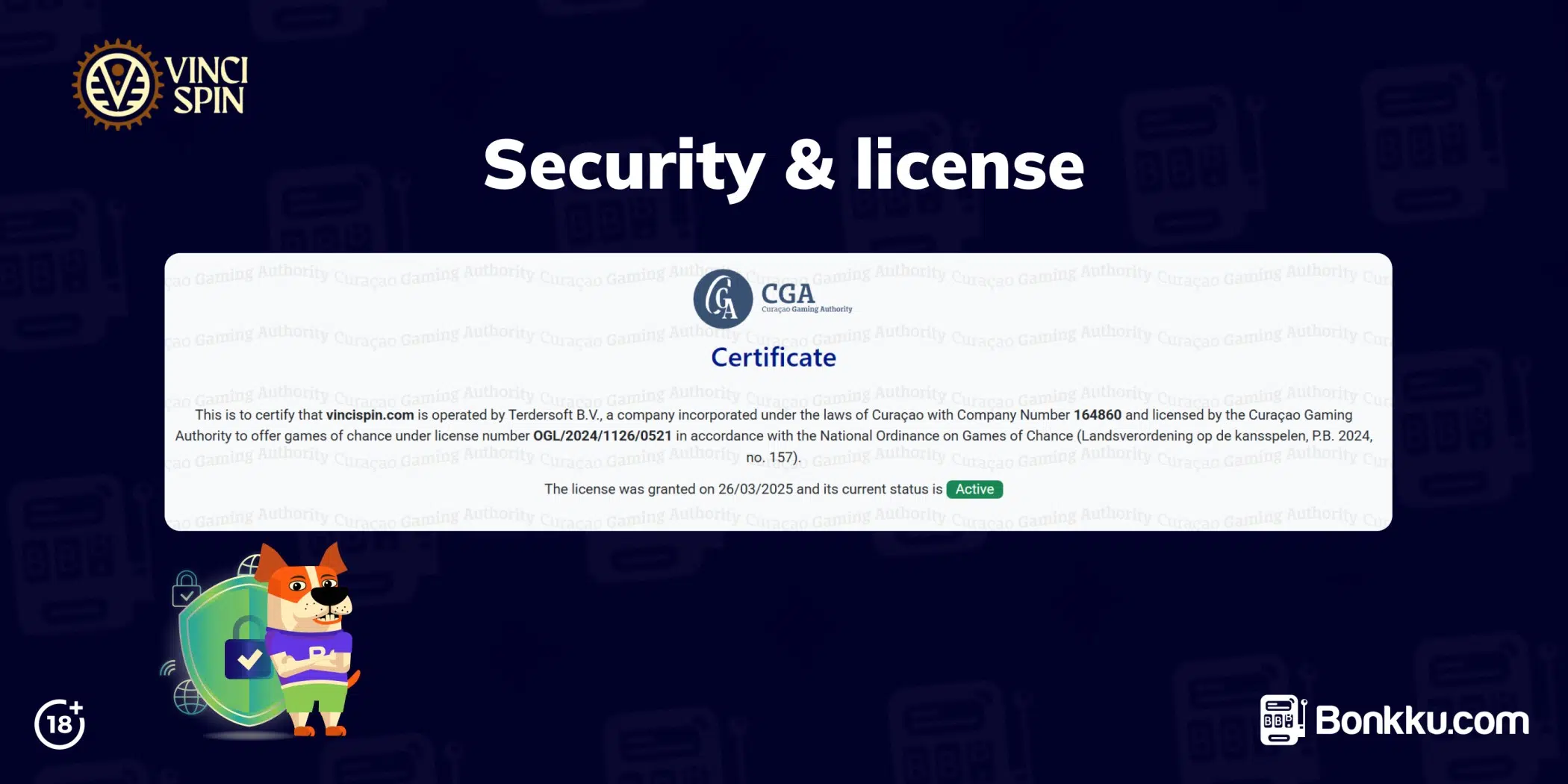 vinci spin security & license