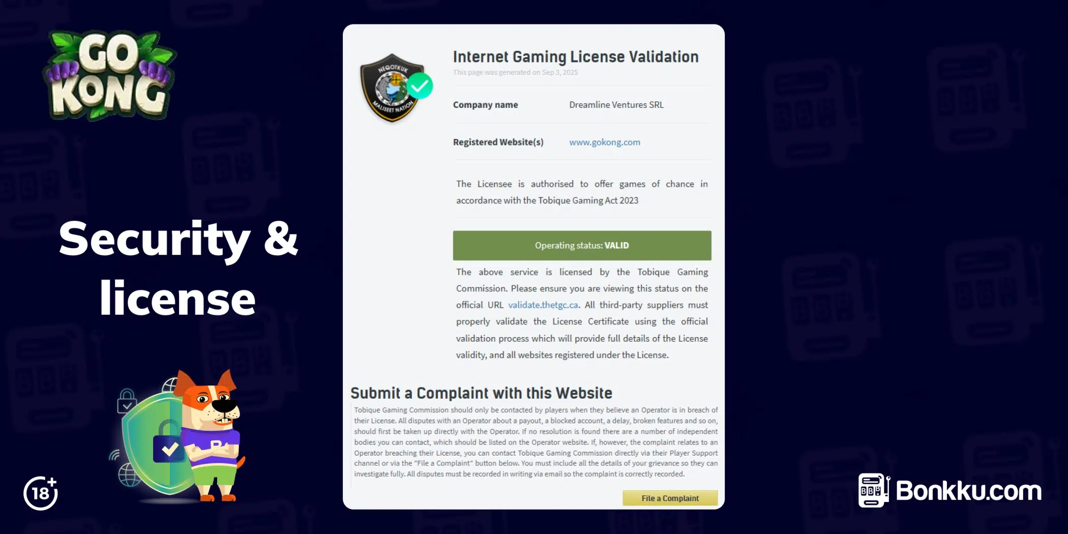 gokong security & license