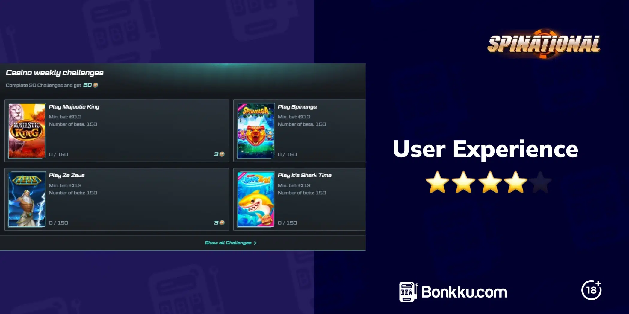 spinational user experience
