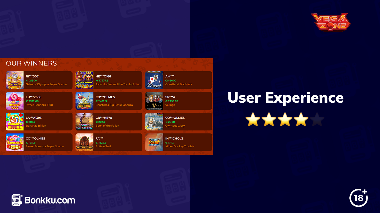 vegazone user experience