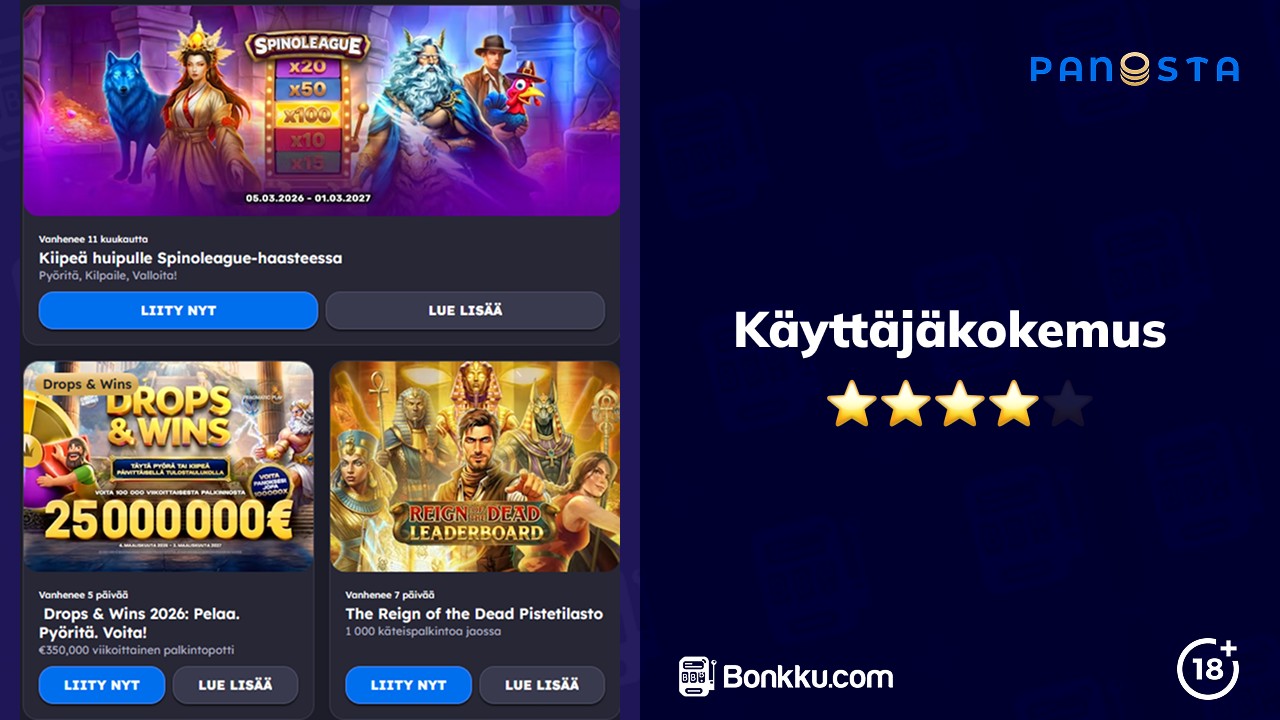 panosta käyttäjäkokemus