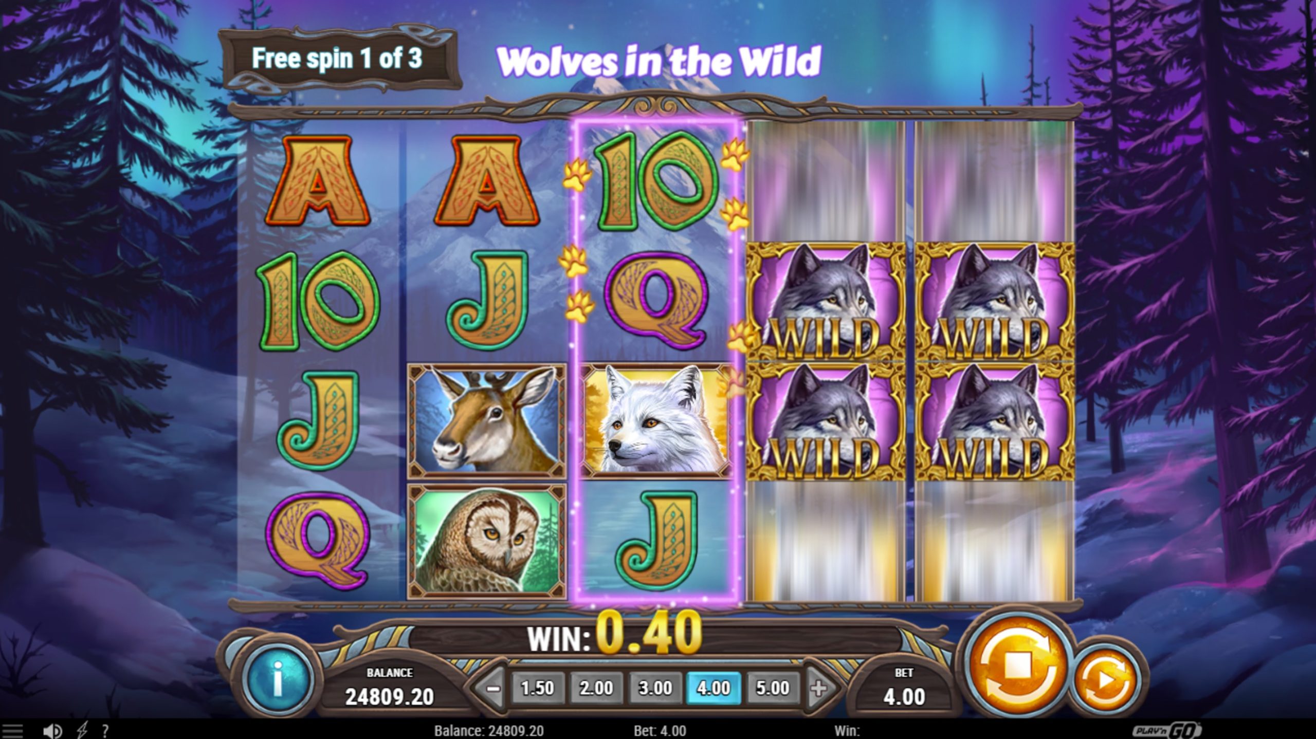 wild north radiant skies go collect bonus
