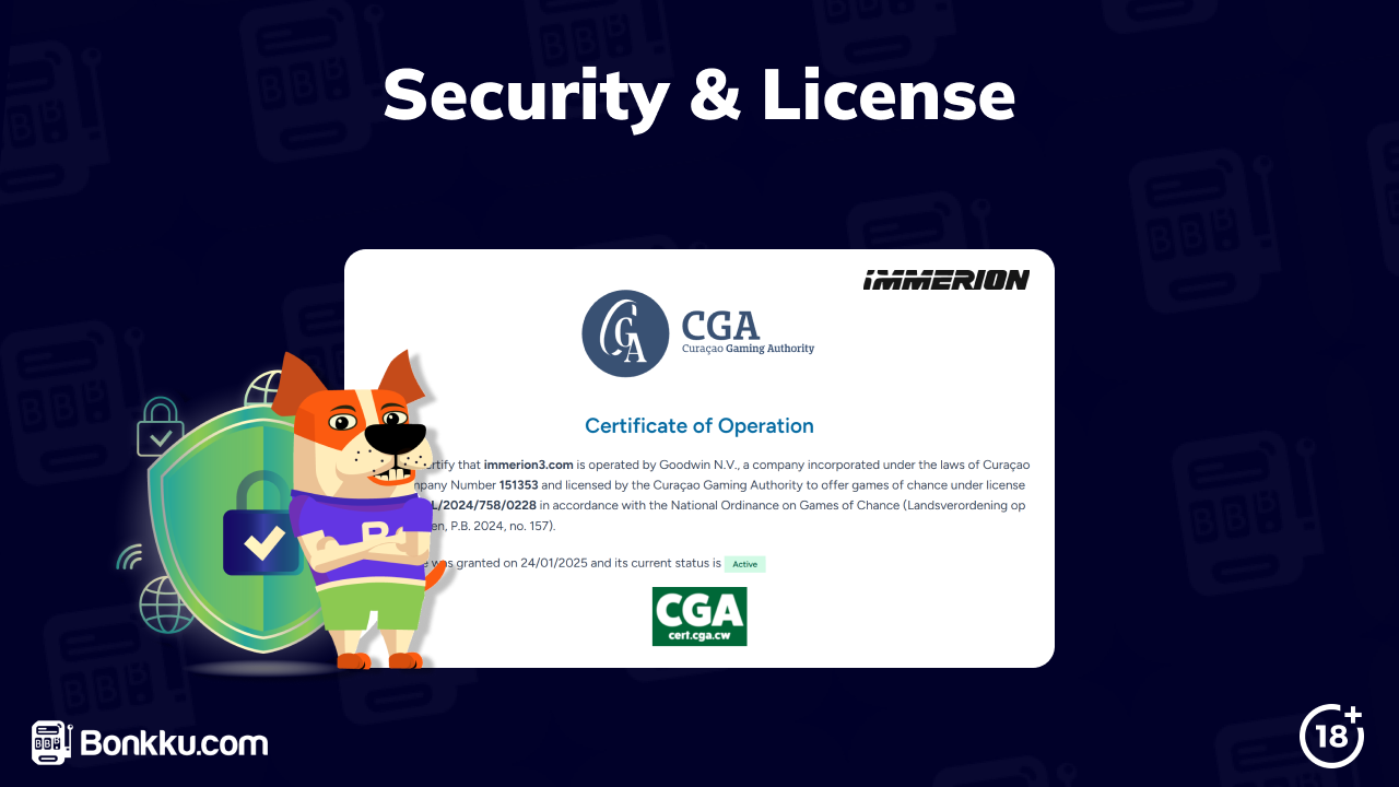 immerion casino license