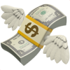 money icon